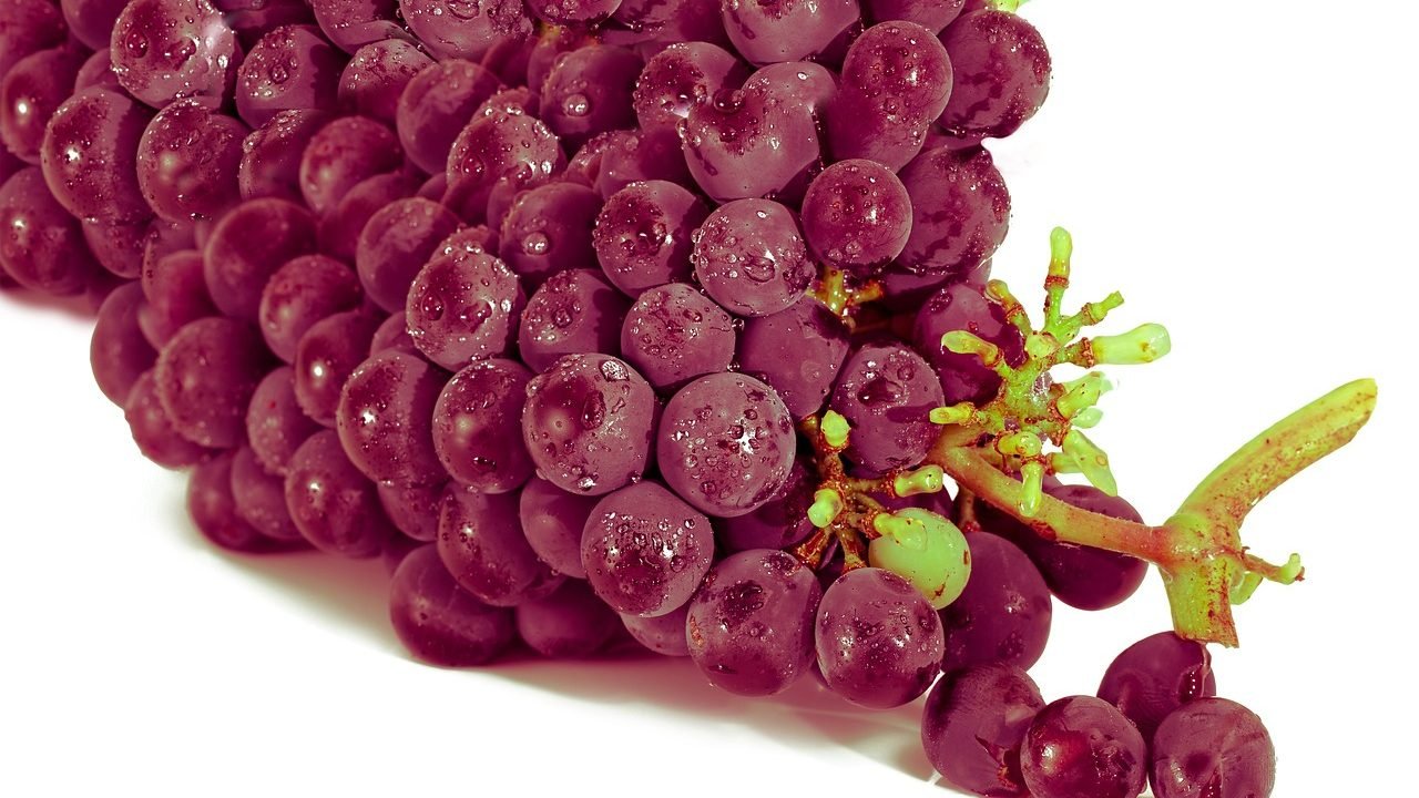 Grapes Benefits, Grapes