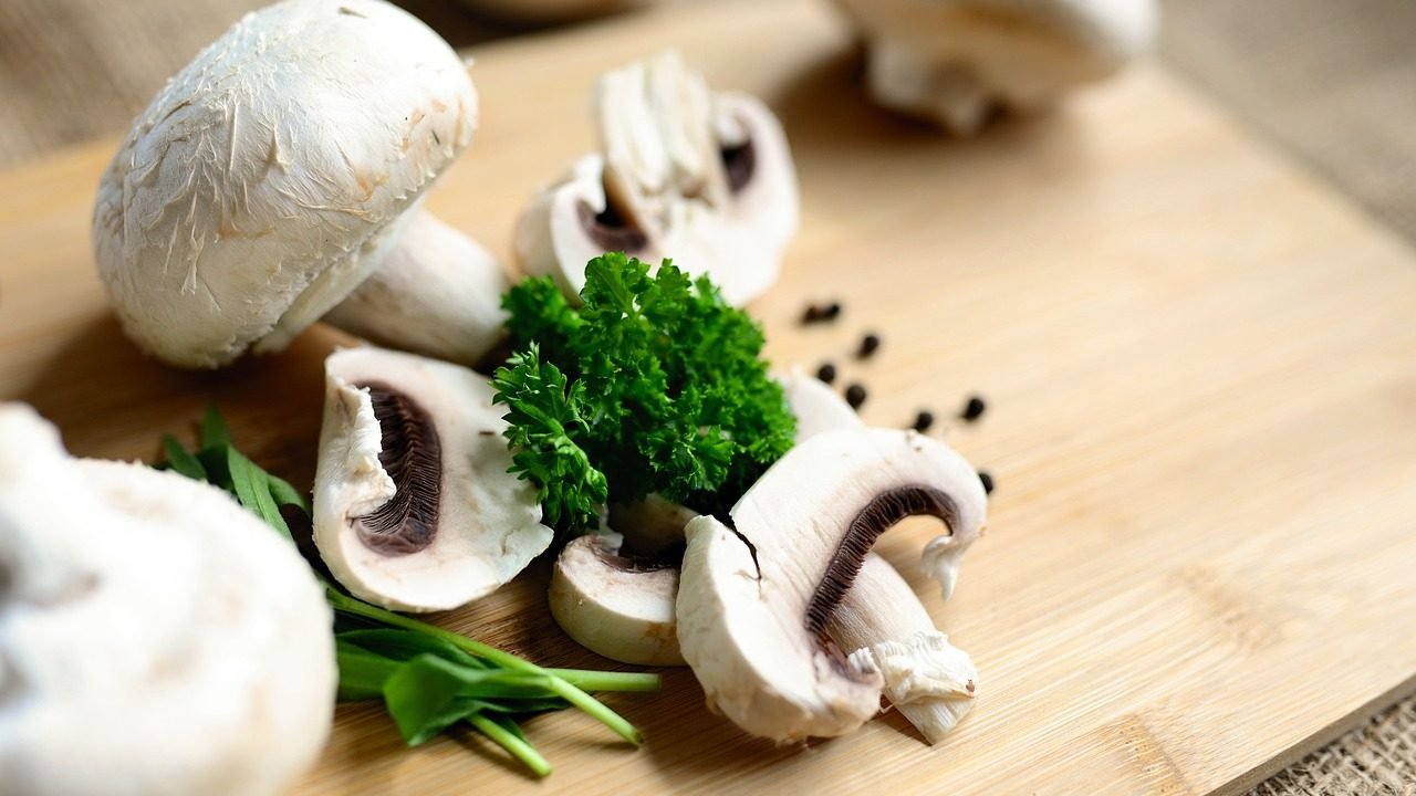Mushrooms Benefits