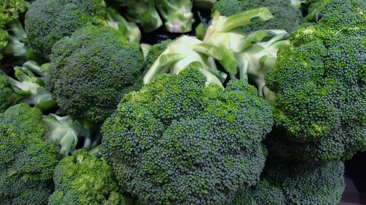 Broccoli Broccoli